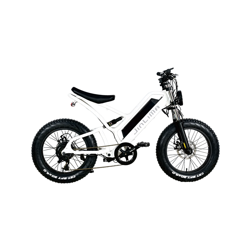 Vilka är de viktigaste typerna av e-cyklar tillgängliga på marknaden?